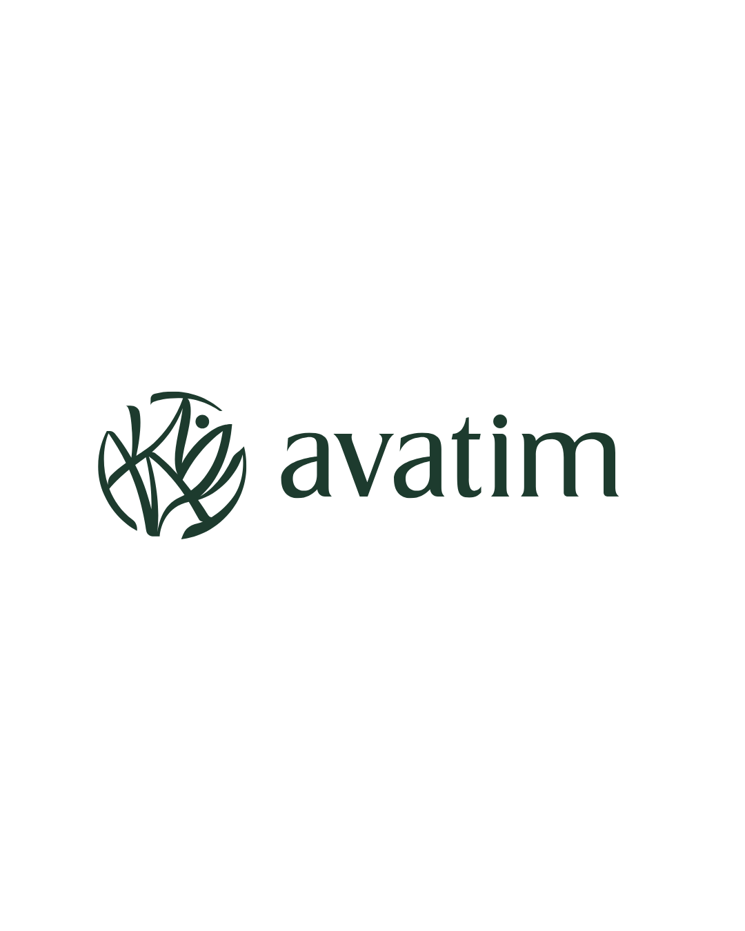 Logo Avatim
